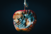 присъда; Коментари:3