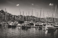 Зимен сън; Коментари:5