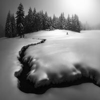 без име ( ID=2576448 ); Коментари:17