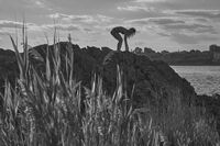 ANNA; Няма коментари