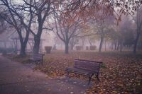 Мъгливо утро; Коментари:3