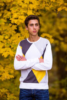 Есенно меланхолично; Коментари:1