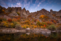 без име ( ID=2576530 ); Коментари:5