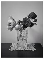 ***; Коментари:1