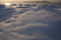 Бяла тишина; Коментари:4