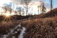 Залезно; Коментари:3