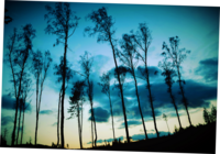 ....; Коментари:1