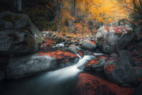 без име ( ID=2576554 ); Коментари:5