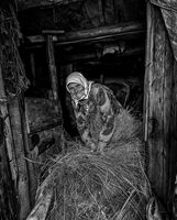 без име ( ID=2576556 ); Коментари:13