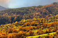 Родопско; Коментари:3