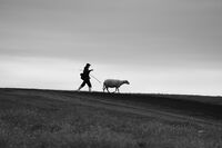 без име ( ID=2576569 ); Коментари:13