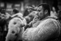 без име ( ID=2576582 ); Коментари:19