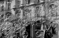 no name ( ID=2576613 ); comments:2