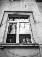 без име ( ID=2576614 ); Коментари:1