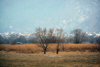 без име ( ID=2576615 ); Коментари:1