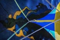 ...морето и (Д)звяра...!; comments:4