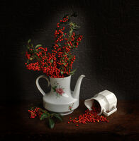 no name ( ID=2576638 ); comments:7