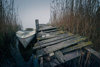 без име ( ID=2576646 ); Коментари:3