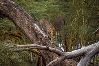 Време за лов; comments:7