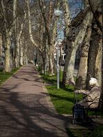 Ако не сте скоро, потърсете баба си.; comments:3