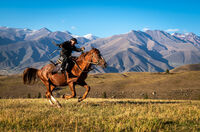 Елмир, на 15 години. Киргизстан 2023; Коментари:4