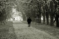 без име ( ID=2576741 ); Коментари:4