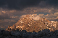 Алпийско гнездо; Коментари:7