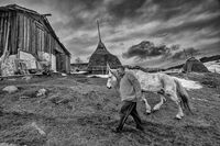 no name ( ID=2576781 ); comments:5