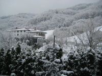 без име ( ID=2576783 ); Коментари:1