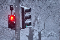 no name ( ID=2576811 ); comments:1