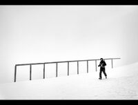 ***; Коментари:13