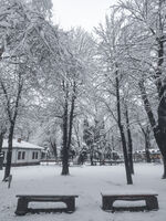 без име ( ID=2576834 ); Коментари:1