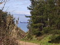 Горски кораби; Коментари:3