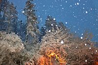 без име ( ID=2576851 ); Коментари:2