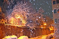 без име ( ID=2576852 ); Коментари:1