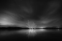 no name ( ID=2576865 ); comments:21