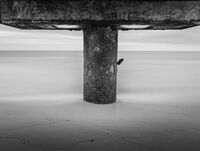 Диалог; Коментари:2