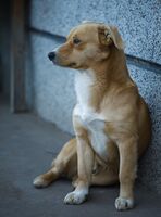 Стана студено; comments:2