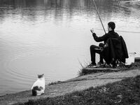 Надежда; comments:1