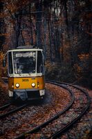 no name ( ID=2576880 ); comments:1