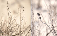 no name ( ID=2576884 ); comments:5