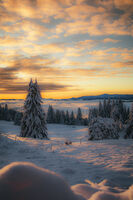 no name ( ID=2576916 ); comments:3