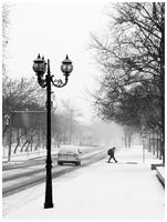 no name ( ID=2576920 ); comments:15