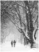 без име ( ID=2576923 ); Коментари:3