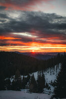 no name ( ID=2576925 ); comments:1