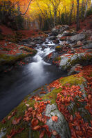 no name ( ID=2576926 ); comments:4