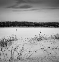 Сняг до колене; Коментари:1