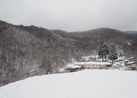 Германски манастир Св. Йоан Рилски; Коментари:2