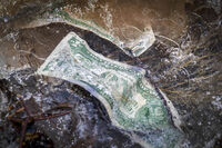 Money Money Money; Коментари:4