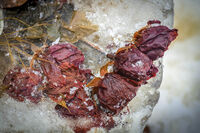 Love Love Love; Коментари:3